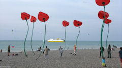 Dieppe (Coquelicots)