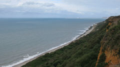 Octeville sur Mer (Falaises 1)