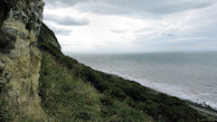 Octeville sur Mer (Falaises 2)