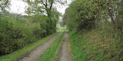 Crécy en Ponthieu (Chemin 1)