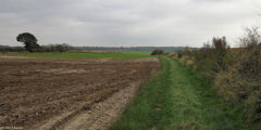 Machy  (Chemin)