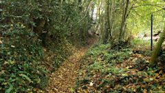Villequier (Sentier 1)