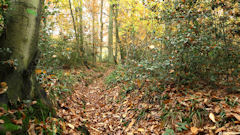 Villequier (Sentier 2)