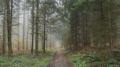 Villequier (Chemin 1)