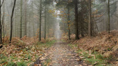 Villequier (Chemin 2)