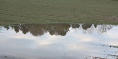 Notre Dame de Bliquetuit (Reflets 1)