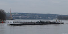 La Mailleraye sur Seine (Mistral)