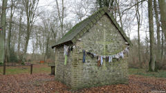 Forêt de Brotonne (Chapelle 1)