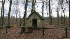 Forêt de Brotonne (Chapelle 3)