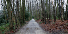 Montivilliers (Chemin)
