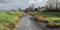 Berville sur Mer (Canal 1)