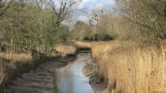 Berville sur Mer (Canal 2)