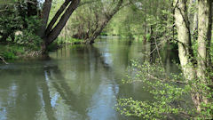 Bouvaincourt sur Bresle (Bresle)