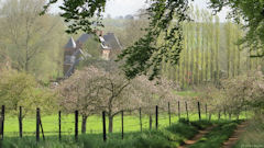 Ancourt (Pontrancart 1)