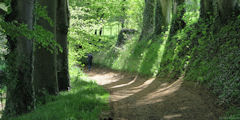 Ancourt (Chemin 1)