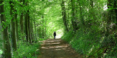 Ancourt (Chemin 2)