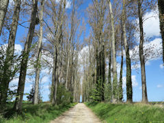 Derchigny (Chemin)