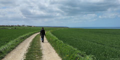 Berneval le Grand (Chemin)