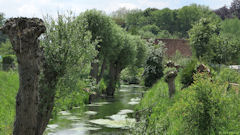 Abbeville (Scardon)