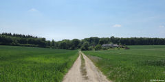 Montroty (La Haye)
