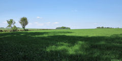 Mesnil sous Vienne (vers les Cailletots)