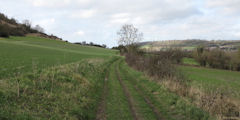 Dampierre St Nicolas (Chemin 1)