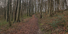 Ricarville du Val (Bois Dimont)