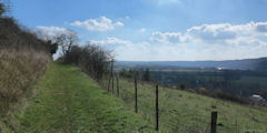 Giverny (vers Limetz-Villez)