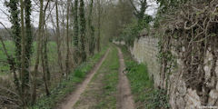 Hautot sur Seine (Chemin)