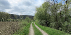 Yville sur Seine (Chemin)