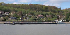 Duclair (Victorieux)