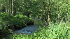 Val de Saâne (Saâne)