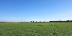 Sassetot le Malgardé (Plaine)