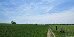 Héricourt en Caux (Chemin 2)