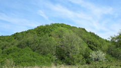 Rocquefort (la Butte)
