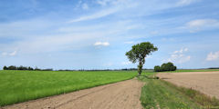 Autretot (Chemin)