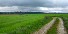 Bréauté (Chemin 2)