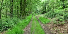 Annouville-Vilmesnil (Chemin)