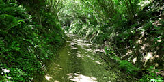 Grainville la Teinturière (Chemin 1)
