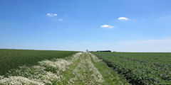 Thiouville (Chemin)