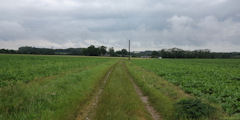 Saint Laurent de Brèvedent (Chemin 2)