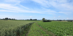 Graimbouville (Chemin)