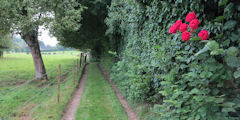 Oudeuil (Roses)