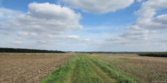 Lavacquerie (Chemin)