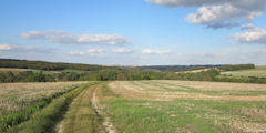 Catheux (Chemin 1)
