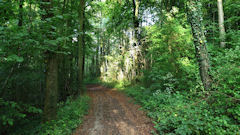 Catheux (Chemin 2)