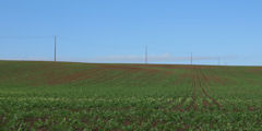 Bucamps (Plaine)