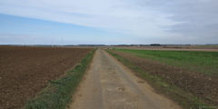 Thieux (Chemin)