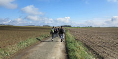 Le Coudray sur Thelle (Chemin)