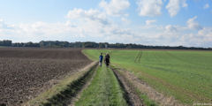 Le Déluge (Chemin 2)